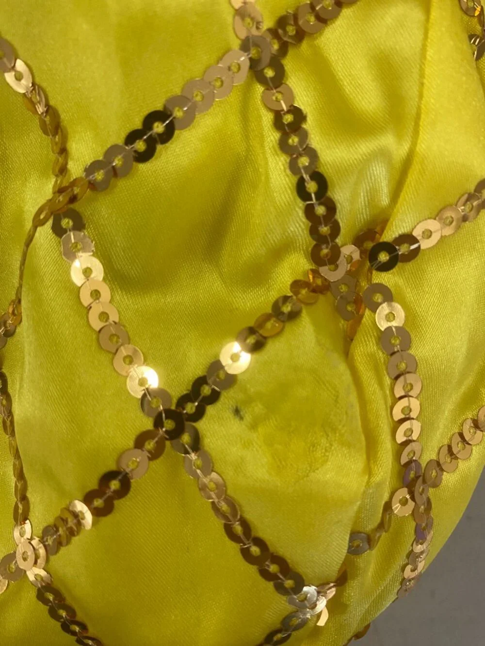 Pineapple Pet Costume (Small)